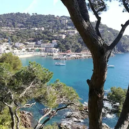 Cala Conchita