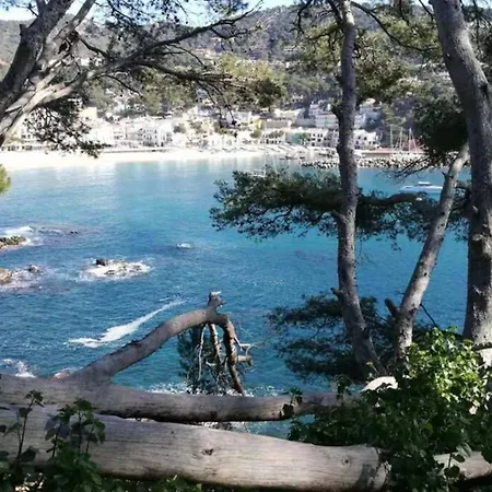Apartment Cala Conchita Girona